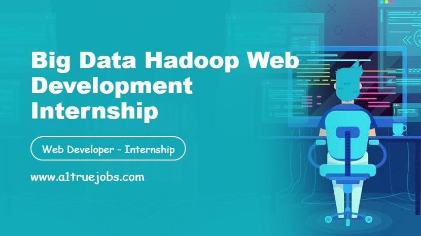 Big Data Hadoop Web Development