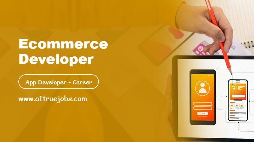 Ecommerce Developer