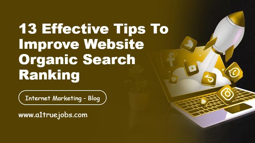 Improve Website Organic Search Ranking