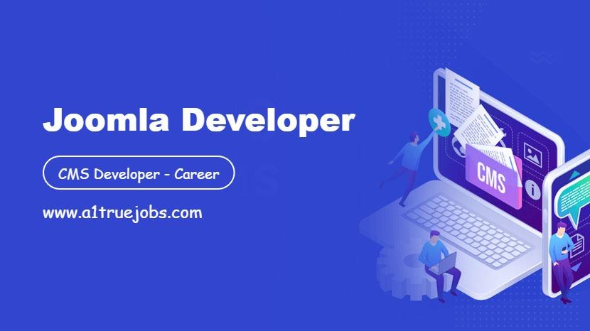Joomla Developer