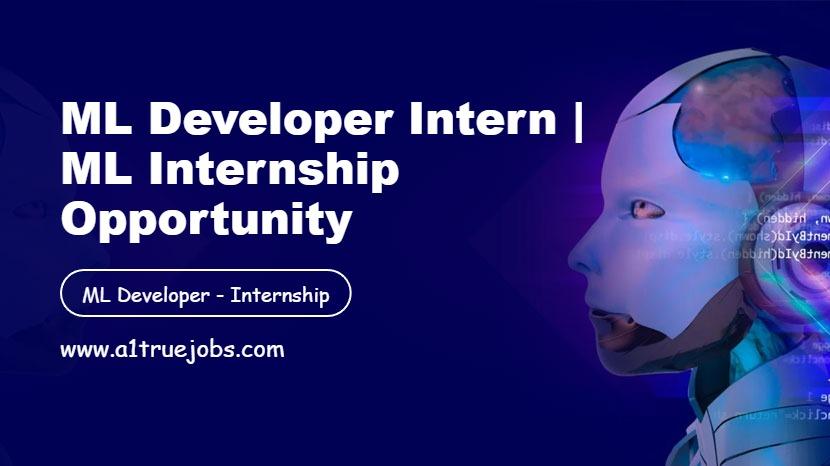 ML Developer Intern