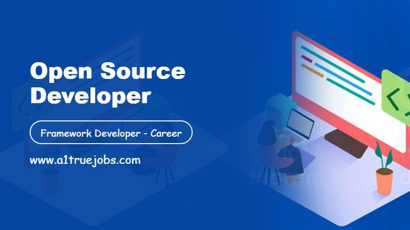 Open Source Developer