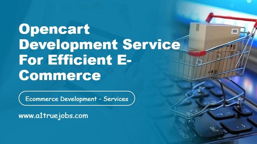 Opencart Web Development