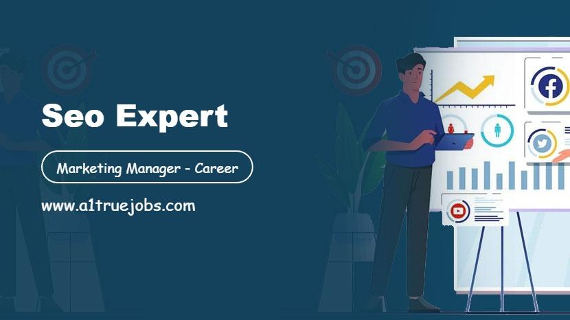 SEO Expert