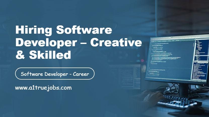 Software Developer
