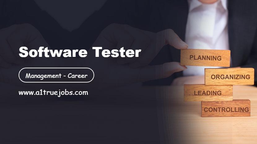 Software Tester