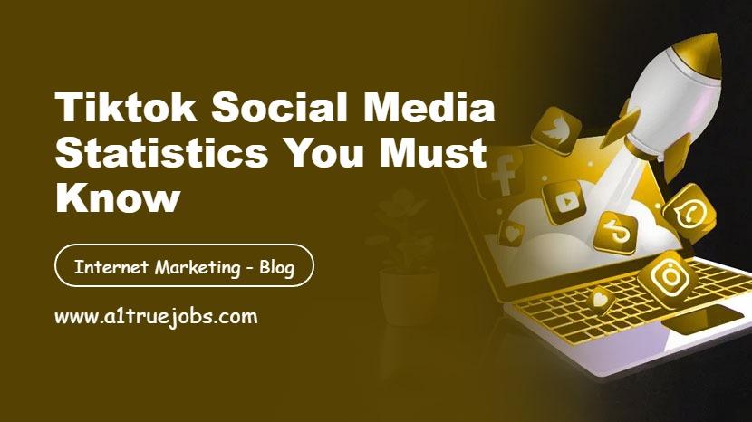 Tiktok Social Media Statistics