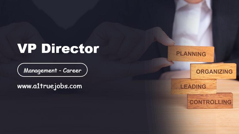 VP Director