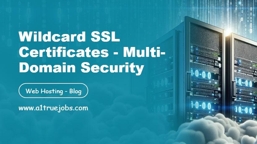 Wildcard SSL Certificates