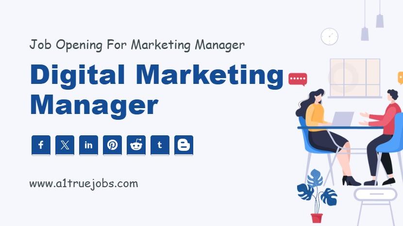 Digital Marketing Expert