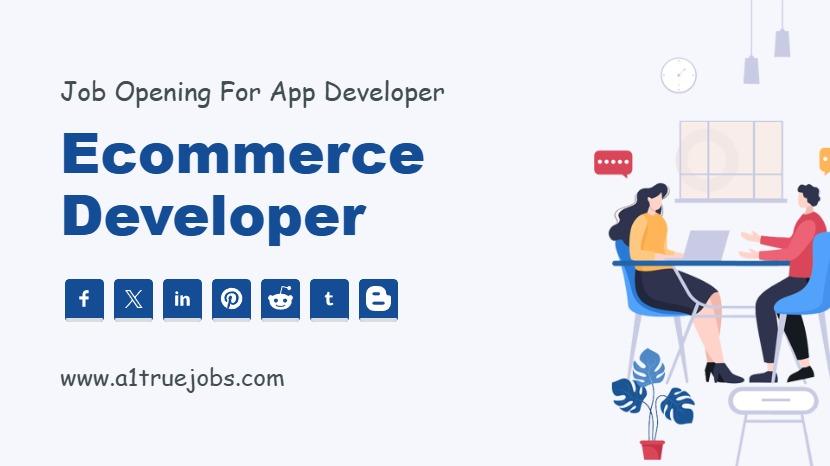 Ecommerce Developer