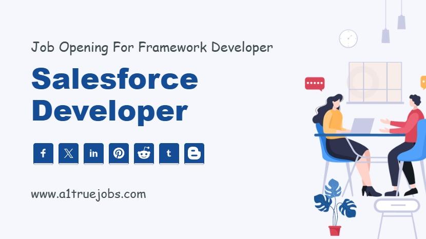 Salesforce Developer