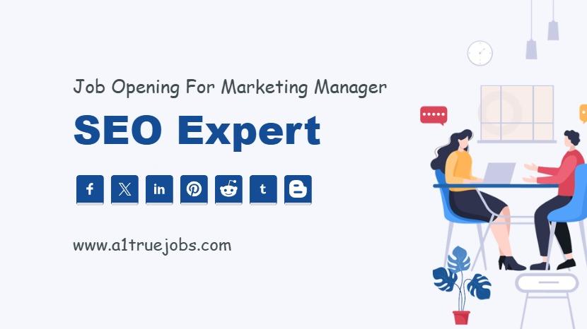 SEO Expert