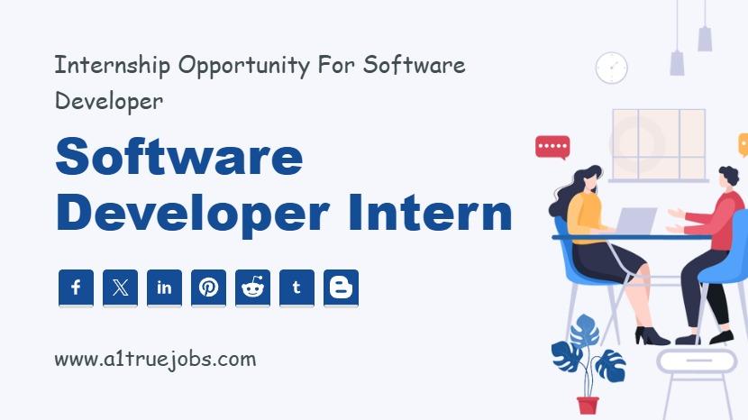 Software Developer Intern