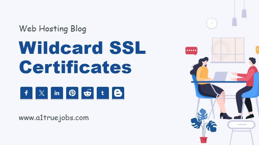 Wildcard SSL Certificates