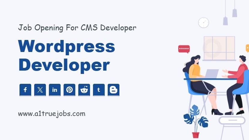 Wordpress Web Developer